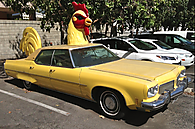 chicken_car.png