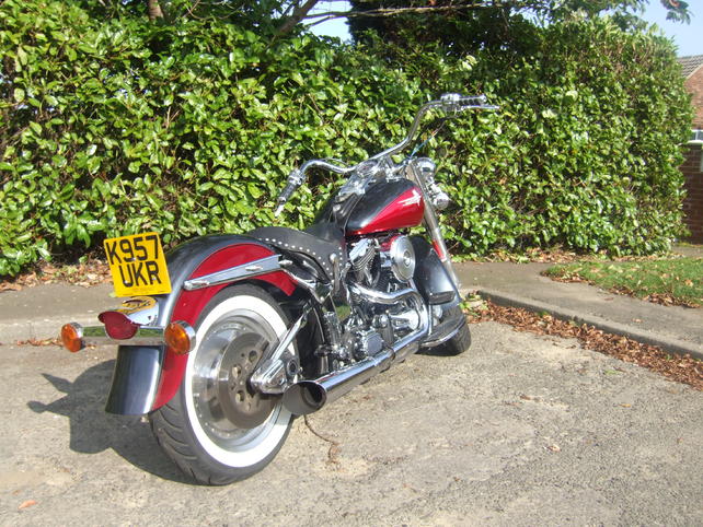 Name:  Harley 2.jpg
Views: 609
Size:  103.9 KB