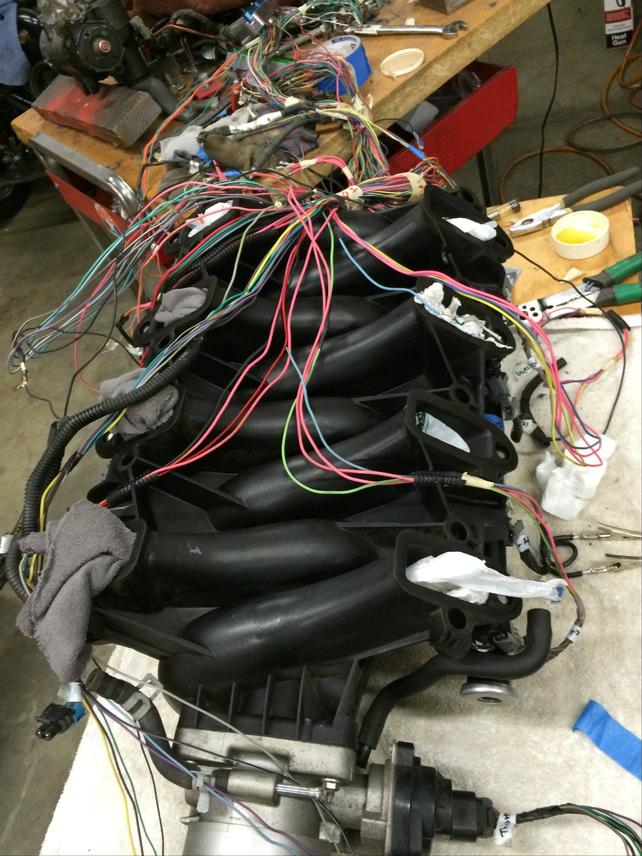 Name:  Wiring Harness mine open2.jpg
Views: 3403
Size:  102.7 KB