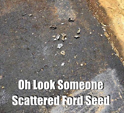 Name:  ford seed.jpg
Views: 1616
Size:  71.0 KB