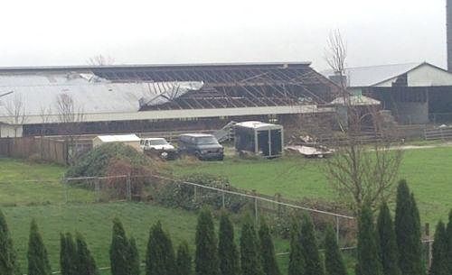 Name:  barn-roof-blown-off-by-wind-chilliwack_opt_opt.jpg
Views: 230
Size:  23.7 KB